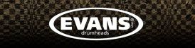Evans Drumhead Artist
