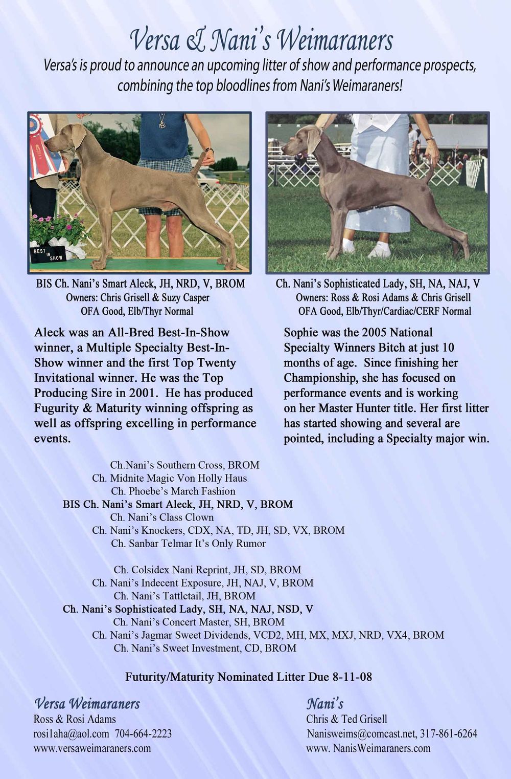 Versa Weimaraners Aleck X Sophie