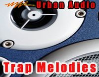 Trap Melodies Loops : Trap Sample Pack