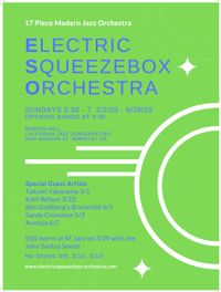 Electric Squeezebox Orchestra