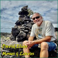 Mosses & Leaves by David Elias