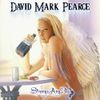 'New' David Mark Pearce 'Strange Ang3ls' CD Album