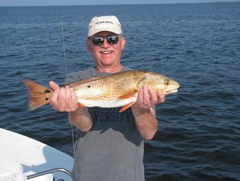 Nice redfish caught out of Steinhatchee Florida
