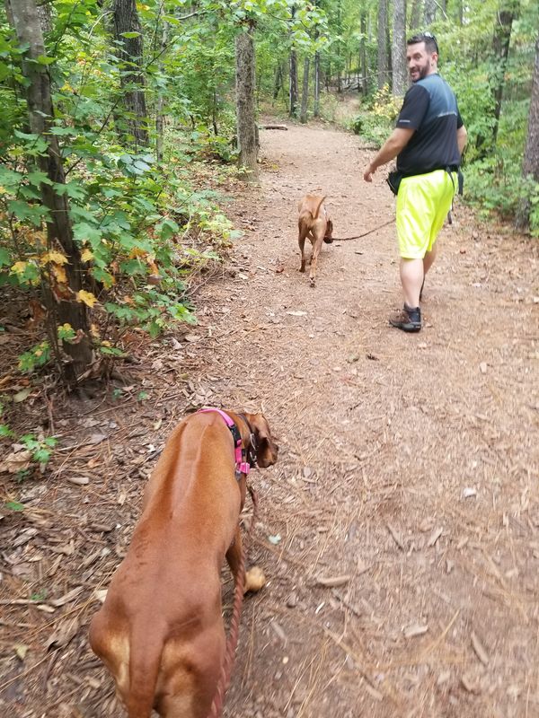 Nathan Hiking on vacation with Joon & Penny 2018
