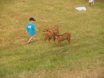 Pepper meeting new pups her own size at the fun day : )
