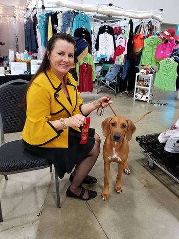 Penny's first show 6 mo
