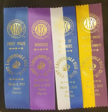 Penny's Ribbons which earned her AKC Champion!
