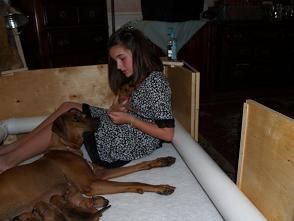 Lilly being a good mom with my daughter Taylor holding the new pups

