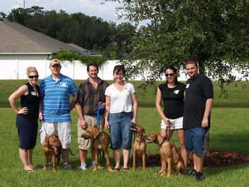 Here are some of the TuckerRidge fur kids left to right Mayzi, Buddy, Roxy and Nixie. The rest stayed home, maybe next time they can come. We had a blast at the Sunshine State Rhodesian Ridgeback Club fun day!! 10-11-08
