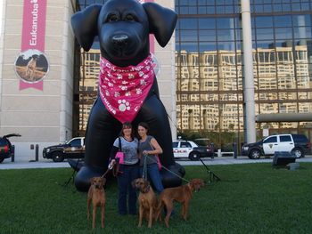 Pepper with Friends at Eukanuba 2011
