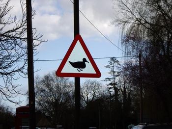 Ducks crossing !!
