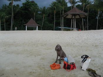 Chilling out on Tanjong Beach - Sentosa Island...
