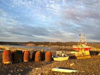 Behind the fish plant in Rocky Harbour.
