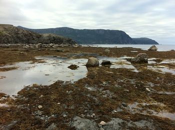 Early evening stroll in Rocky Harbour. The tide had gone out, so the beach was a great place for exploring.
