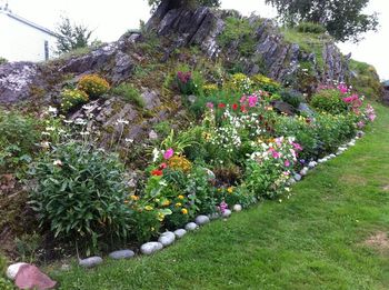 Perfect spot for a flower garden!

