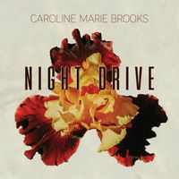 Night Drive by Caroline Marie Brooks