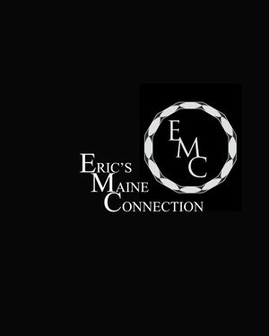 Eric's Maine Connection