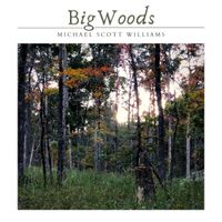 Big Woods (Single) by Michael Scott Williams