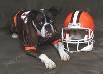 Our Dawg Petey and his 2009 Season Photos
