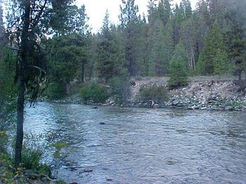 South fork of the Payette.
