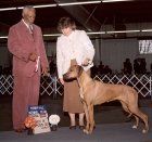 I won Best of Breed from the classes when I was a baby!
