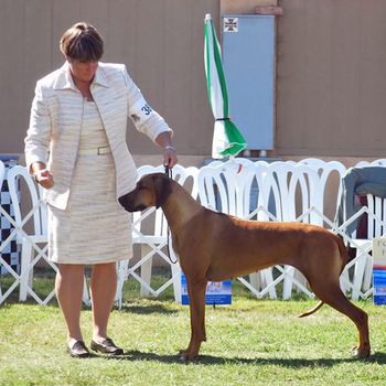 Kathleen and me. We won First Place in the Field Champion class and AOM in the Best of Breed.
