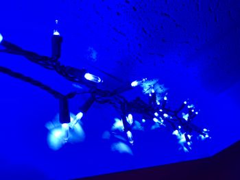 Blue Christmas Lights In Haunted House Studios
