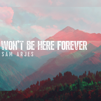 Won't Be Here Forever by Sam Arjes