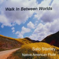 Walk In Between Worlds by Salo Stanley