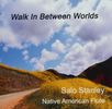 Walk In Between Worlds: CD