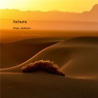 Sahara by Sina Bathaie