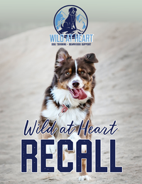 Wild At Heart EBook - Wild At Heart Recall!