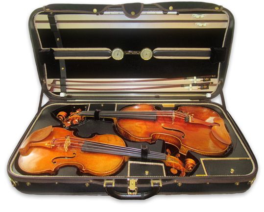 Violin and Viola by Hiroshi Iizuka