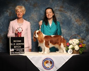 2nd place at Nationals Breeder/Judge: Katie Sloan
