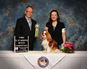 3rd place in Sweeps at Nationals Breeder/Judge: David McCullough
