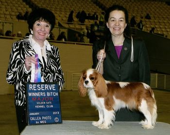Almost 12 months, another RWB from the Puppy Class at Golden Gate Kennel Club.
