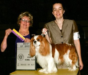BOB , April 2012 Under Janet Allen for his 2nd Major towards his Grand Championship
