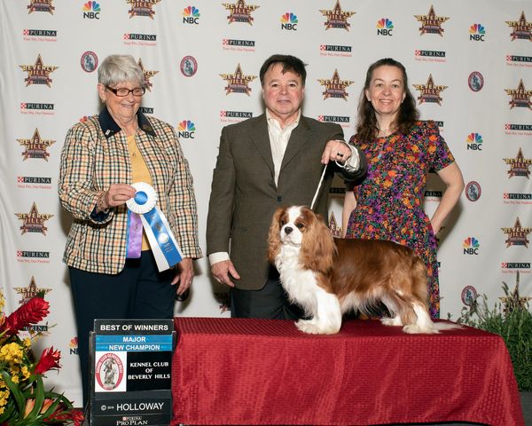 Huge win for John and Randy, BOW under Anne Katona at the Kennel Club of Beverly Hills to complete his Championship!  Randy is always owner handled by John! WTG Team! 
