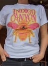 Indigo Canyon- Trippy Bumble Tee's 