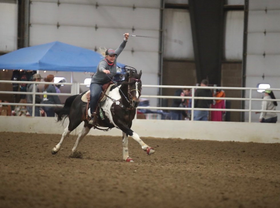 Lone Star Performance Horses - Dash Ta Magnolia