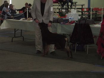 Rogue and John at the CFC dog show in Windsor (April 2011)
