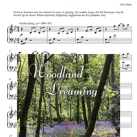 Woodland Dreaming - Solo Harp 