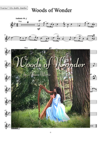 Woods of Wonder - Ocarina with backing track
