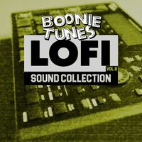 Lo-Fi Sound Collection Vol. 9