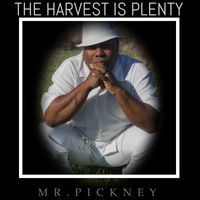 The Harvest Is Plenty by Mr. Pickney