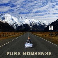 20 Years In by Pure Nonsense