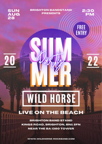 Wild Horse - Party On The Beach