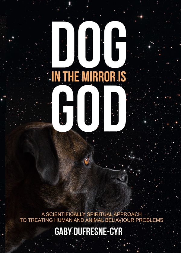 Dog in the mirror is God