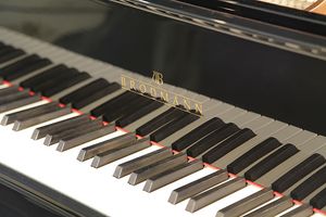 Brodmann piano deals