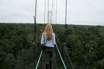 Rainforest in Ecuador
